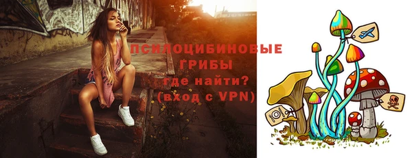 Альфа ПВП Заволжск