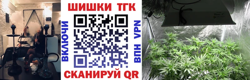 где продают наркотики  shop состав  Бошки марихуана THC 21%  Кольчугино  KRAKEN зеркало 
